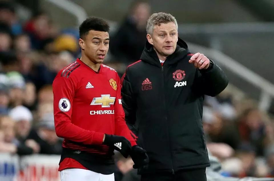 型和鹈鹕的 型和鹈鹕的