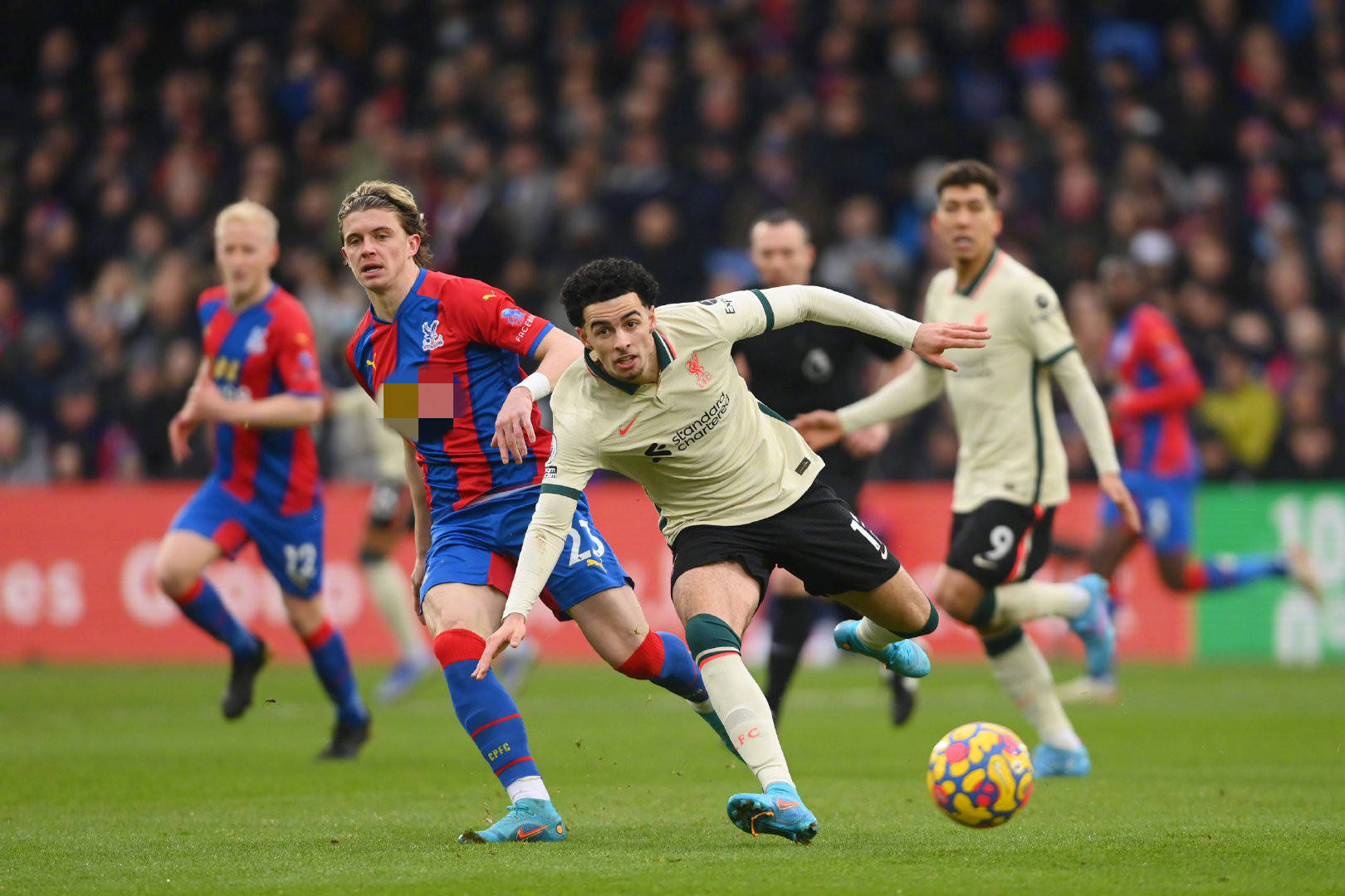 发展的催化 发展的催化